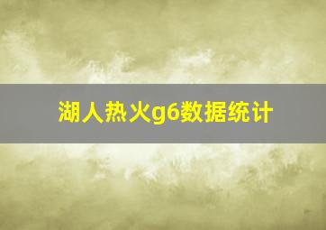 湖人热火g6数据统计