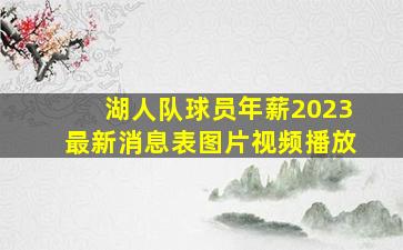 湖人队球员年薪2023最新消息表图片视频播放