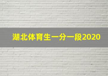 湖北体育生一分一段2020