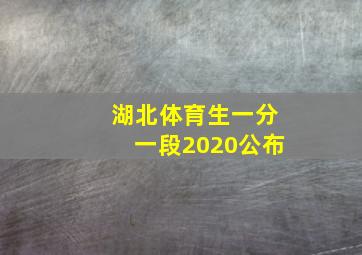 湖北体育生一分一段2020公布