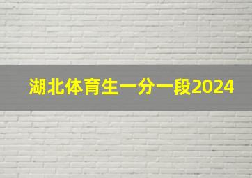 湖北体育生一分一段2024