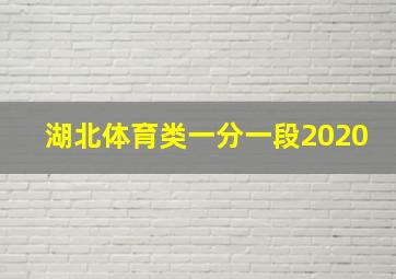 湖北体育类一分一段2020