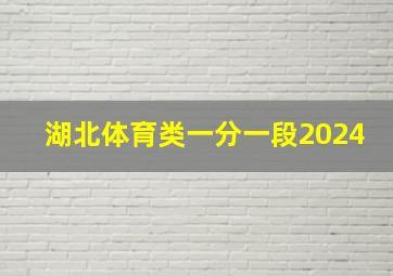 湖北体育类一分一段2024