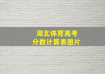 湖北体育高考分数计算表图片