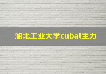 湖北工业大学cubal主力