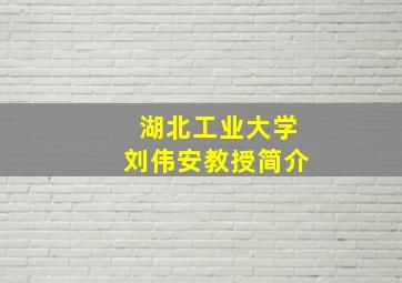 湖北工业大学刘伟安教授简介