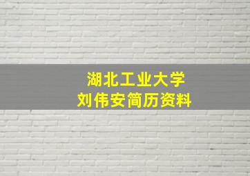 湖北工业大学刘伟安简历资料