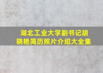 湖北工业大学副书记胡晓艳简历照片介绍大全集