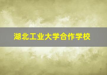 湖北工业大学合作学校