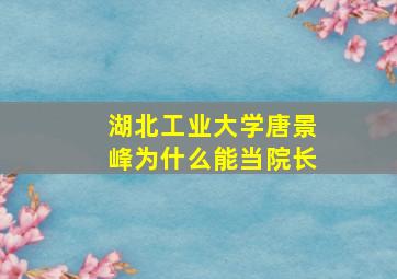 湖北工业大学唐景峰为什么能当院长