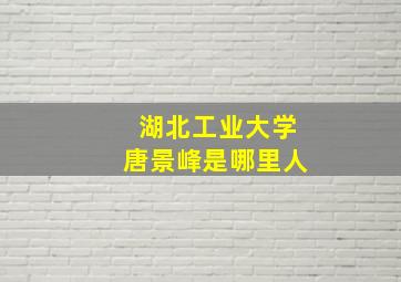 湖北工业大学唐景峰是哪里人