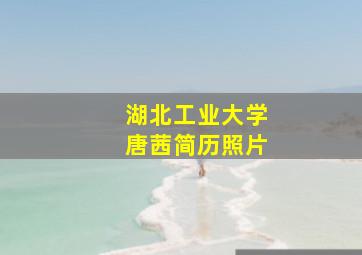 湖北工业大学唐茜简历照片