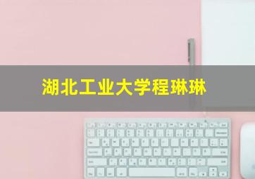 湖北工业大学程琳琳