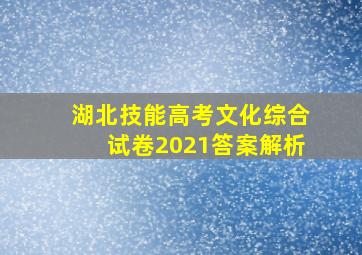 湖北技能高考文化综合试卷2021答案解析