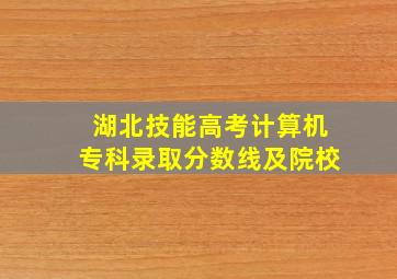 湖北技能高考计算机专科录取分数线及院校