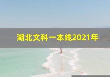 湖北文科一本线2021年