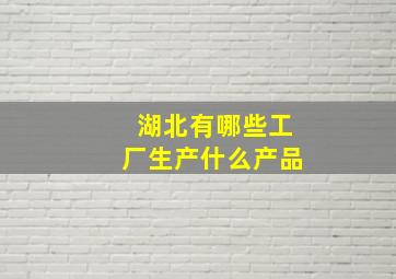 湖北有哪些工厂生产什么产品