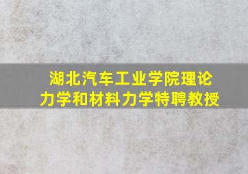 湖北汽车工业学院理论力学和材料力学特聘教授