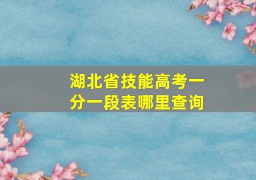 湖北省技能高考一分一段表哪里查询