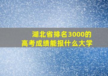 湖北省排名3000的高考成绩能报什么大学