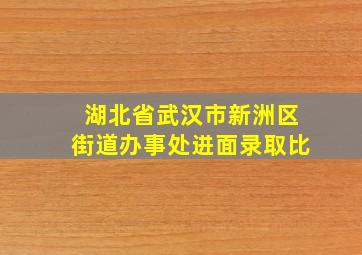 湖北省武汉市新洲区街道办事处进面录取比