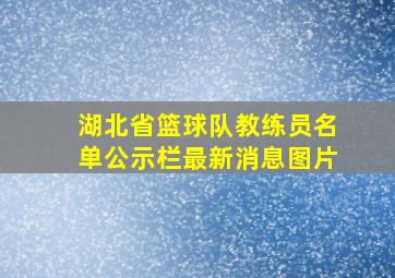 湖北省篮球队教练员名单公示栏最新消息图片