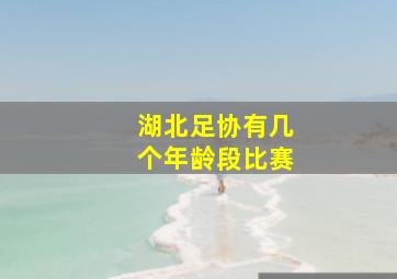 湖北足协有几个年龄段比赛