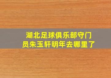 湖北足球俱乐部守门员朱玉轩明年去哪里了