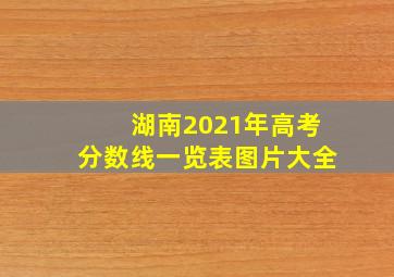 湖南2021年高考分数线一览表图片大全