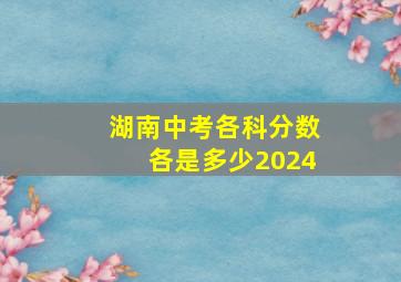 湖南中考各科分数各是多少2024