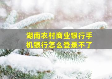 湖南农村商业银行手机银行怎么登录不了