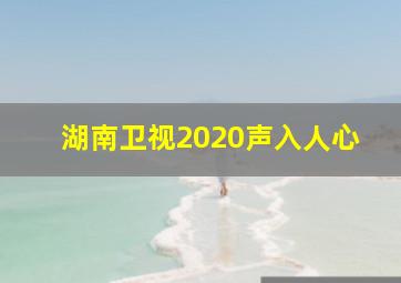 湖南卫视2020声入人心