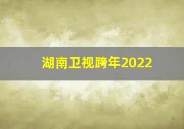 湖南卫视跨年2022