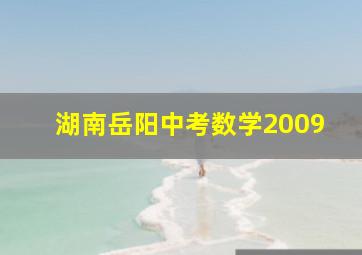 湖南岳阳中考数学2009