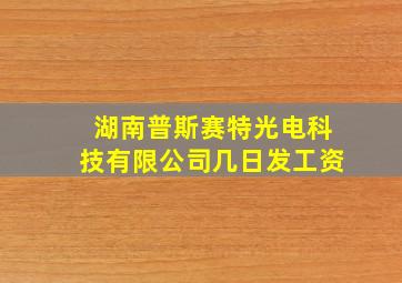 湖南普斯赛特光电科技有限公司几日发工资