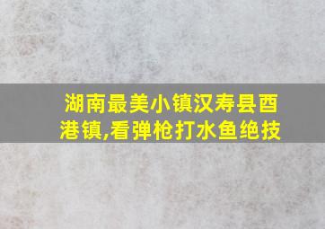 湖南最美小镇汉寿县酉港镇,看弹枪打水鱼绝技