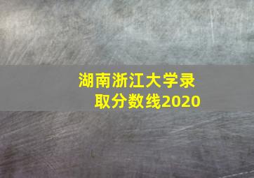 湖南浙江大学录取分数线2020