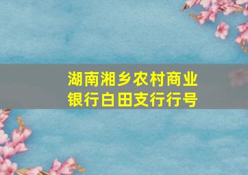 湖南湘乡农村商业银行白田支行行号