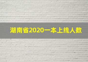 湖南省2020一本上线人数