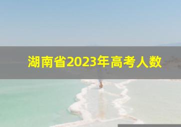 湖南省2023年高考人数