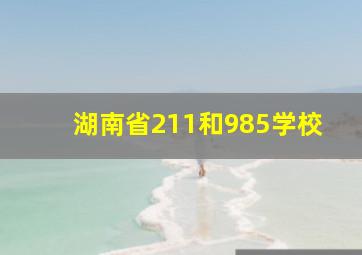 湖南省211和985学校