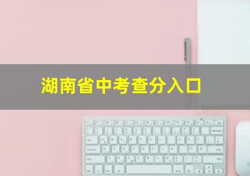 湖南省中考查分入口