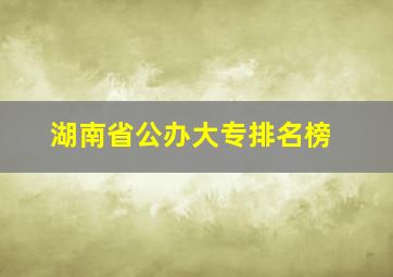 湖南省公办大专排名榜