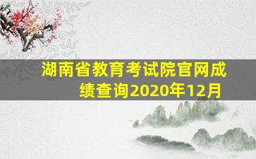 湖南省教育考试院官网成绩查询2020年12月