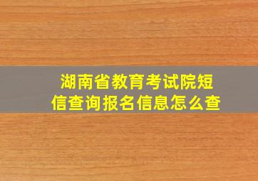 湖南省教育考试院短信查询报名信息怎么查