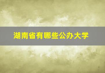 湖南省有哪些公办大学