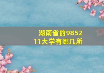 湖南省的985211大学有哪几所