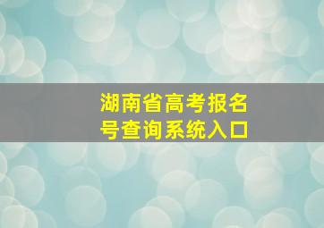 湖南省高考报名号查询系统入口