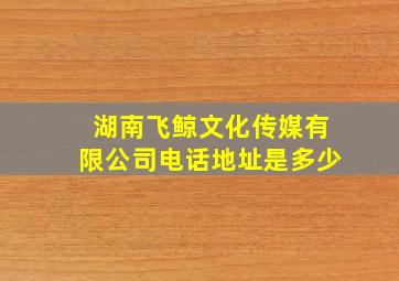 湖南飞鲸文化传媒有限公司电话地址是多少