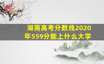 湖南高考分数线2020年559分能上什么大学